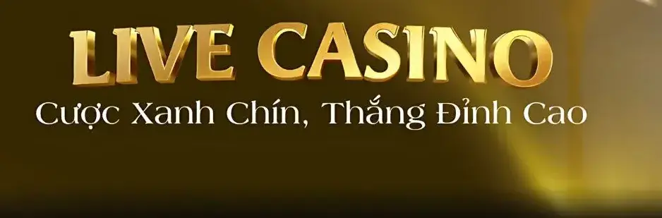 Khám Phá Live Casino Nhà Cái B29 – Trải Nghiệm Đỉnh Cao Khám Phá Live Casino Nhà Cái B29 – Trải Nghiệm Đỉnh Cao